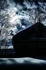 冬の日差し220304