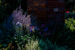 園内の時計台わき