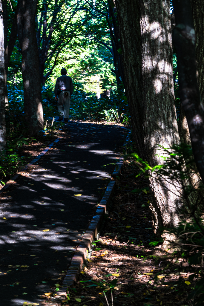 森林公園230907-3