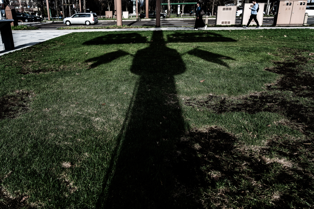 マイバウム（５月の木）の影