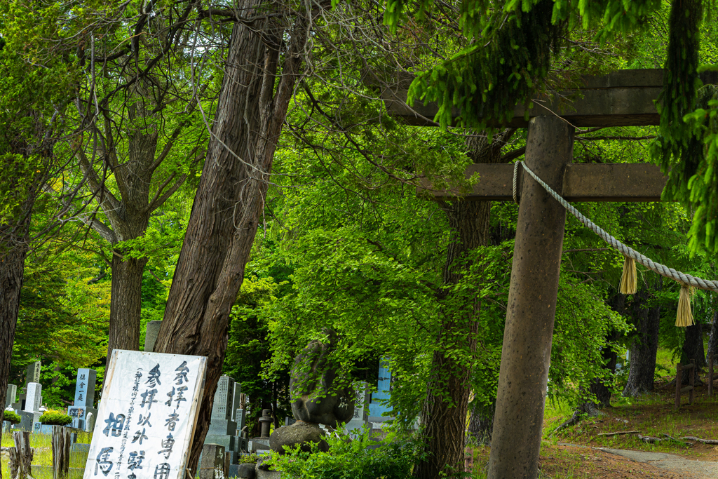 天神山緑地０６０１１