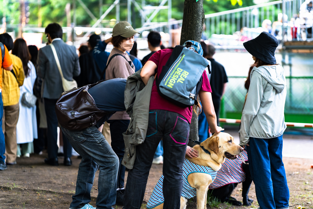 よさこい０６０８−４