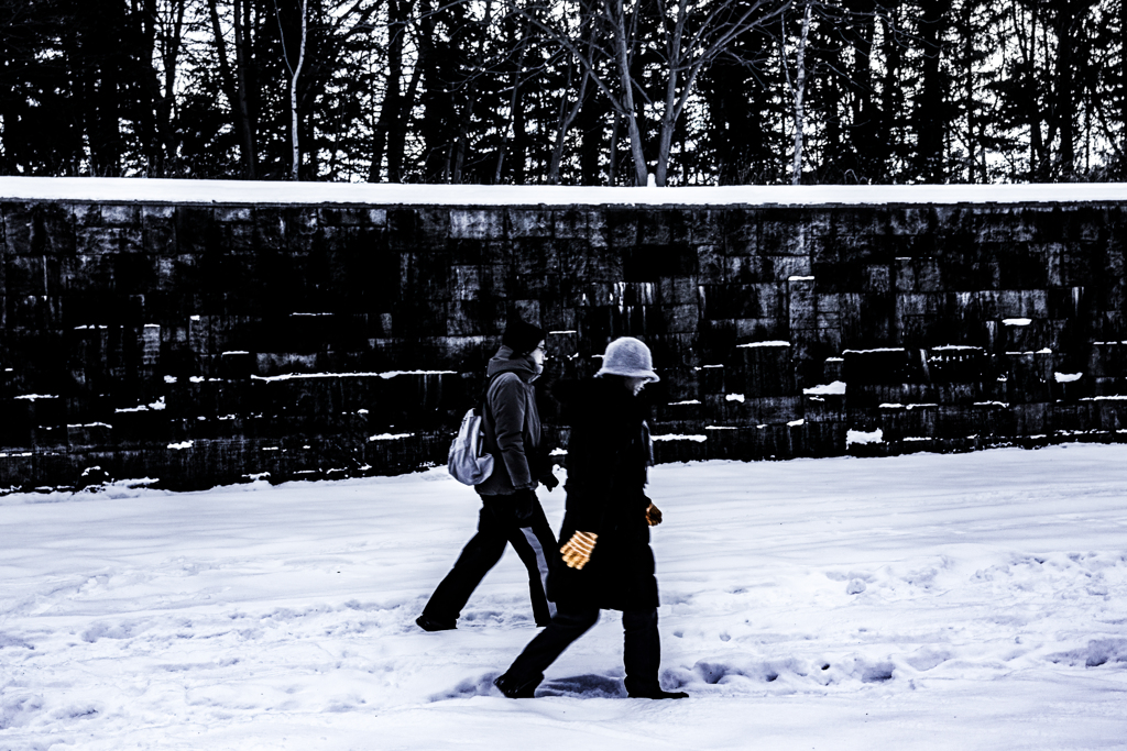 森林公園のふたり