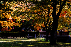 中島公園が騒がしくなった
