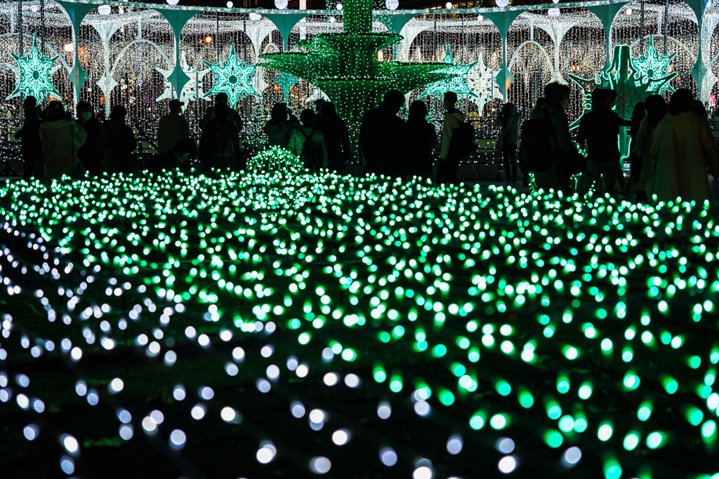 大通公園のイルミネーション
