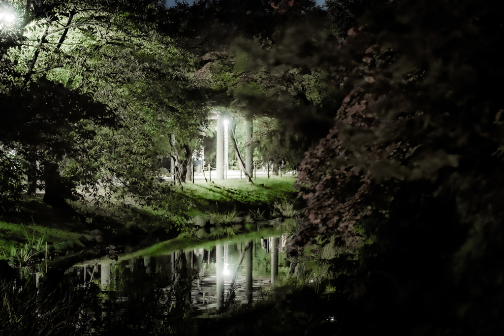 あずまやのライトアップ