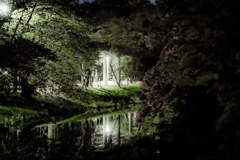 あずまやのライトアップ