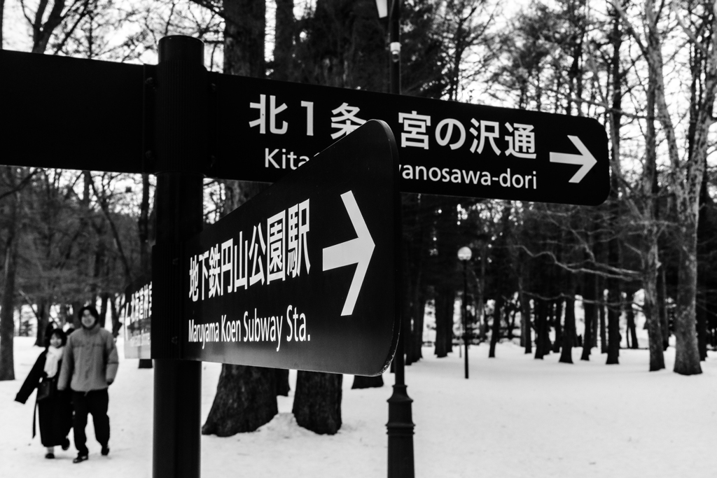 円山でスナップ１