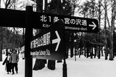 円山でスナップ１