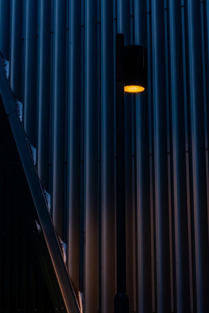 ススキノを照らす