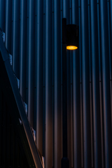 ススキノを照らす