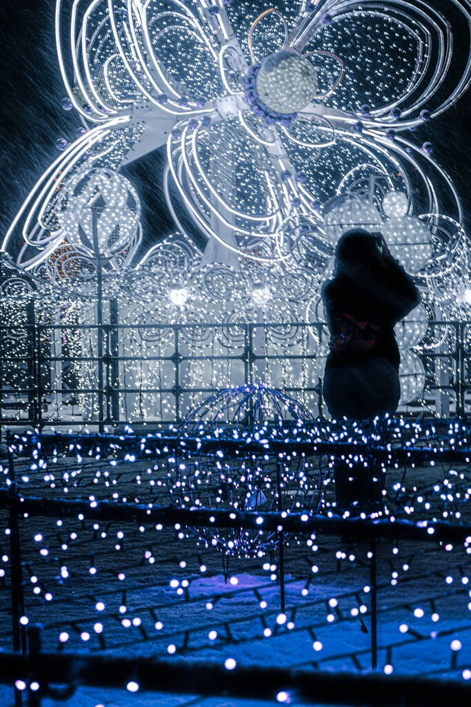 ホワイトイルミネーション3