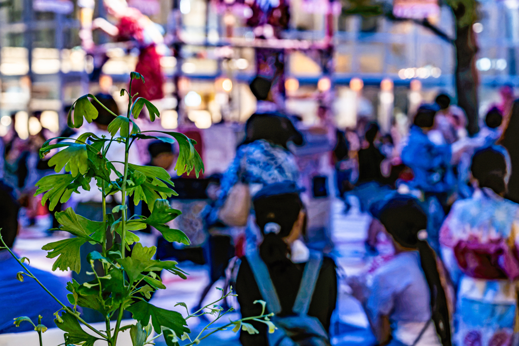 暗くなるにつれ賑わいが