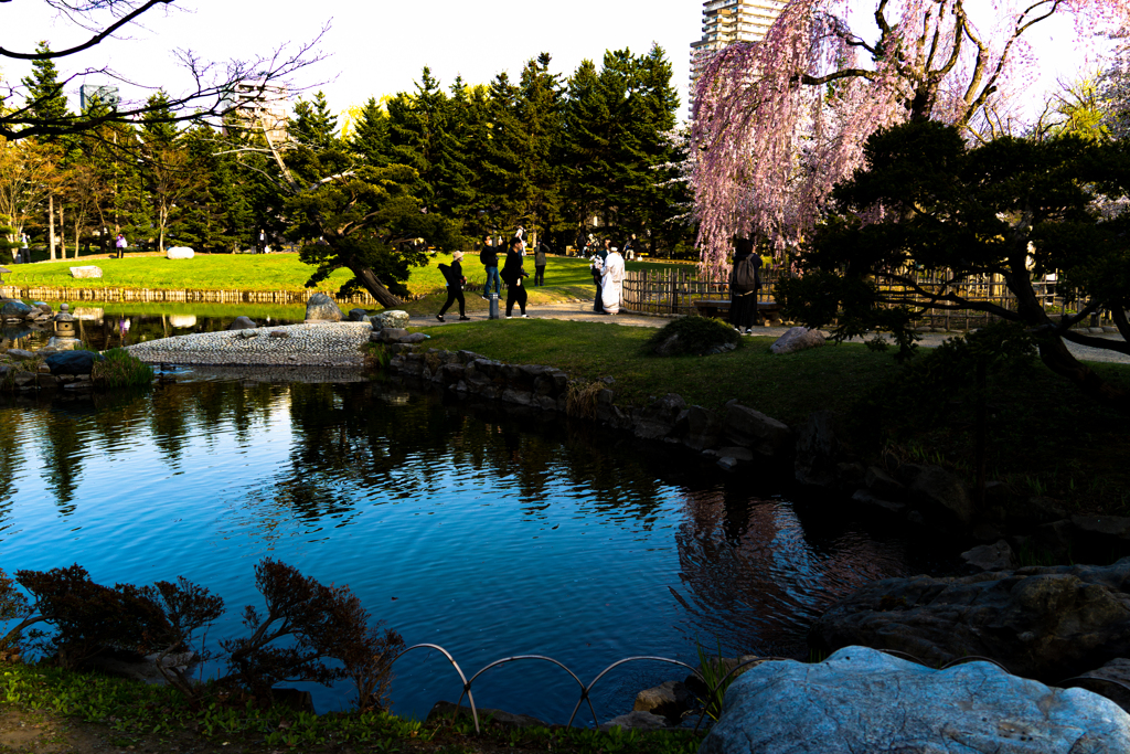 中島公園４−２５ー6