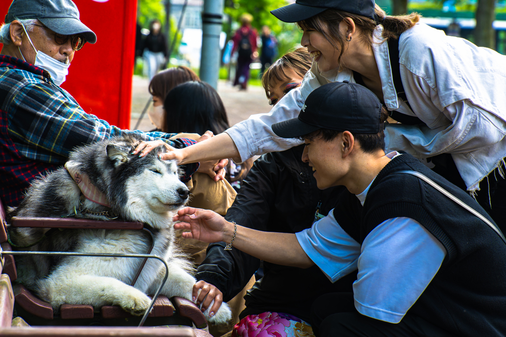 ちょっとお年かな