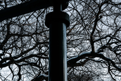 初冬の空模様２