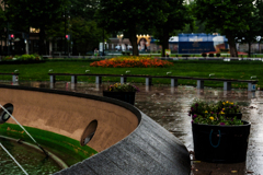 雨のフラワーポット