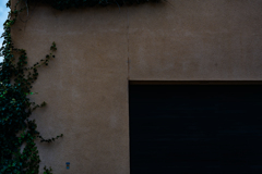 ツタのある光景１