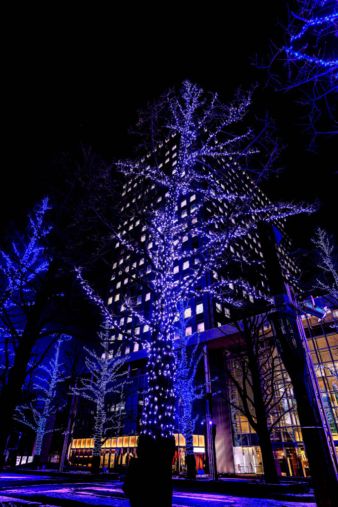 旧本庁舎前広場アカプラ1