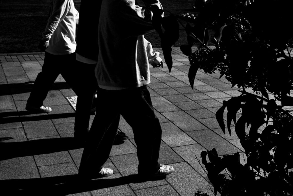 大通りの噴水を一周４