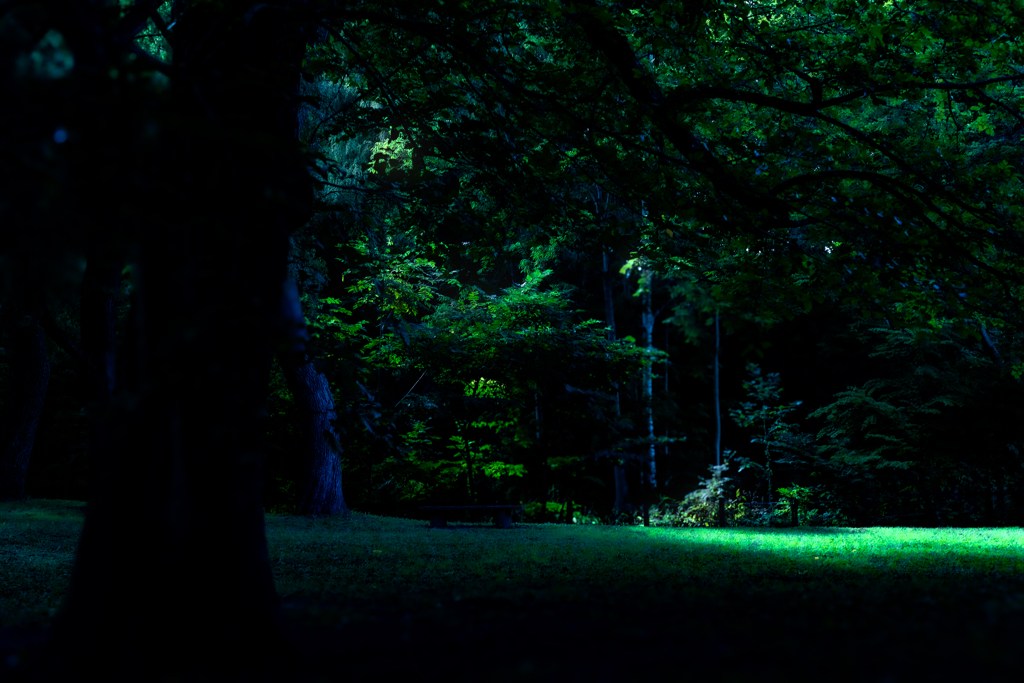 北海道神宮2408301