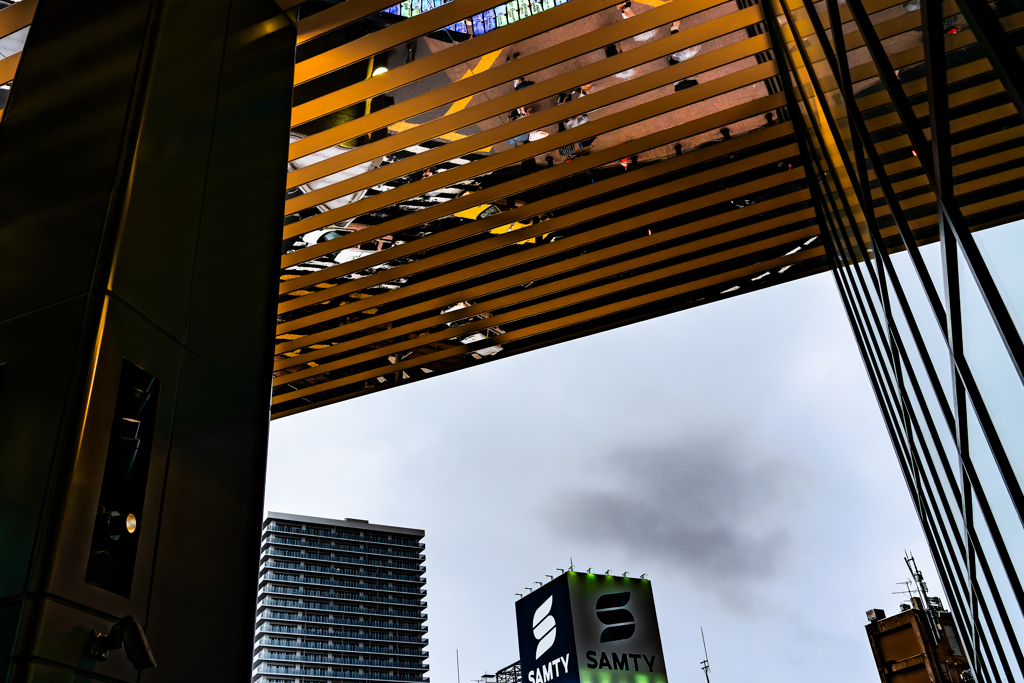 ススキノ交差点に雨が降る