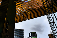 ススキノ交差点に雨が降る