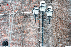 サッポロファクトリー　突然の吹雪