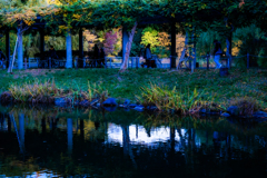 藤棚の下を人が通る