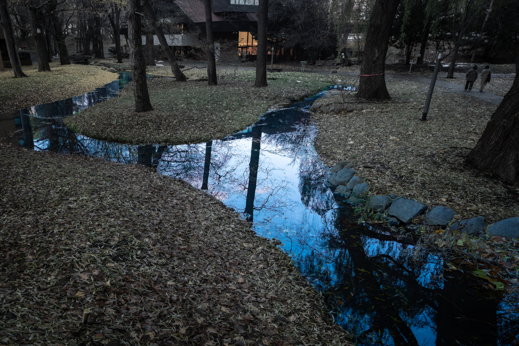 北大牛乳を味わおう