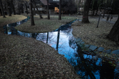 北大牛乳を味わおう