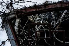 漏窓(透かし窓)2