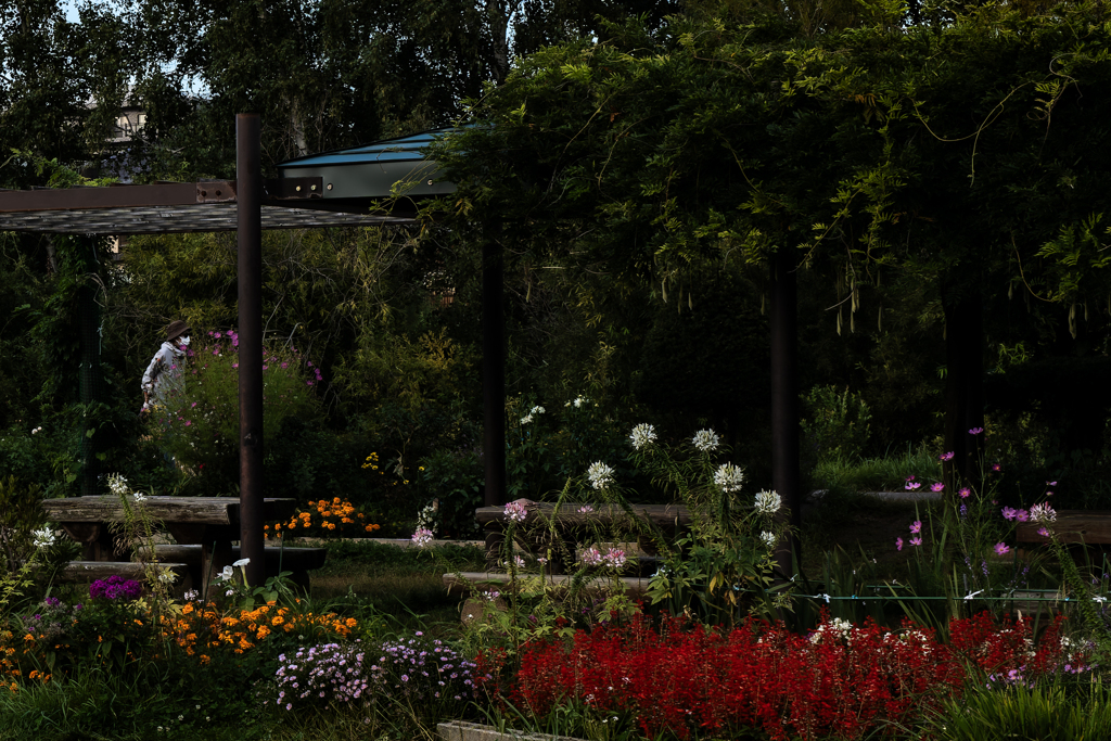 野津幌川遊歩道２
