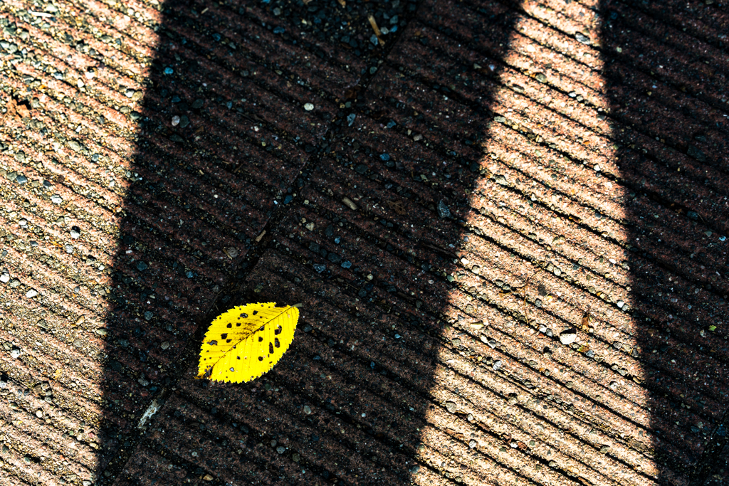 森林公園230907-1