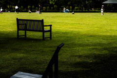 あちこちにベンチ