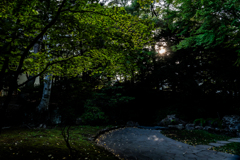 かすかな日差しを感じて