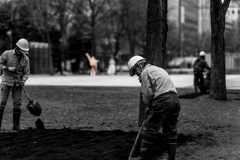 大通公園春への準備