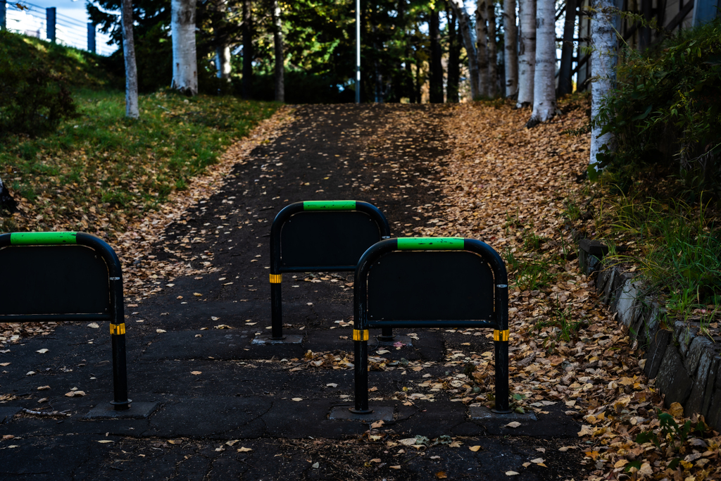 ある大学の裏道