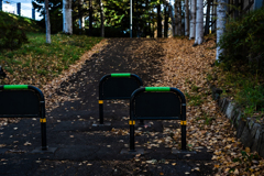 ある大学の裏道