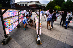 ていね夏あかり６