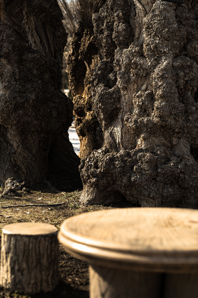 ちょっと早すぎた１