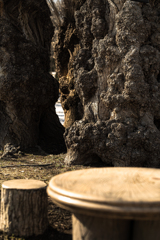 ちょっと早すぎた１