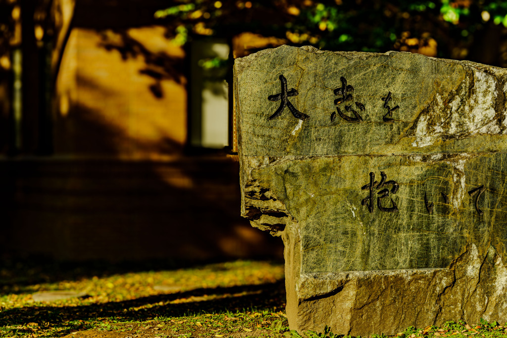 北大に行ってきた