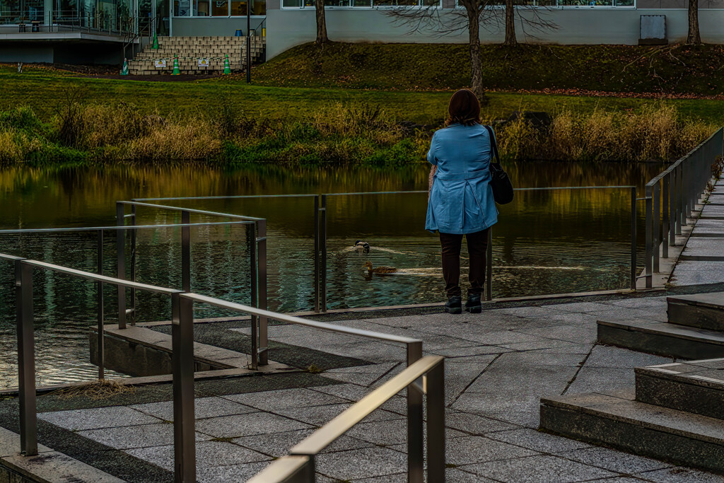 カモを追っていた