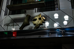 小樽で「赤」を見つけよう８