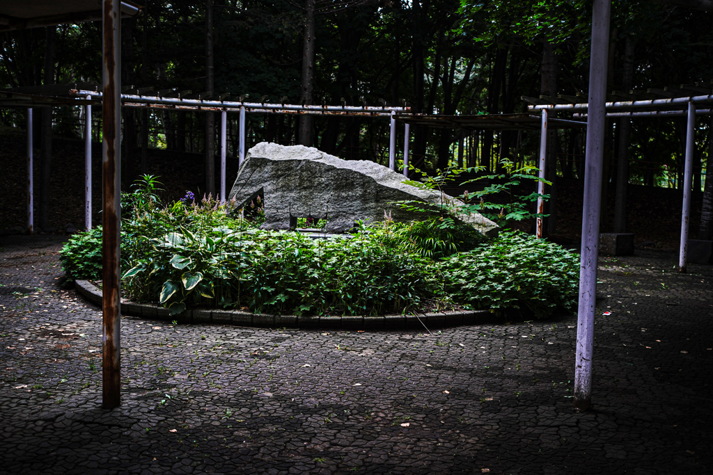 前田森林公園６