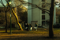 通りすがりの風景