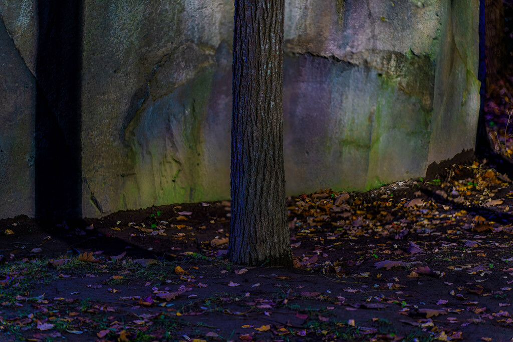 緑地公園に灯が入り