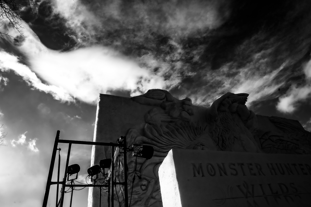 モンスターハンター