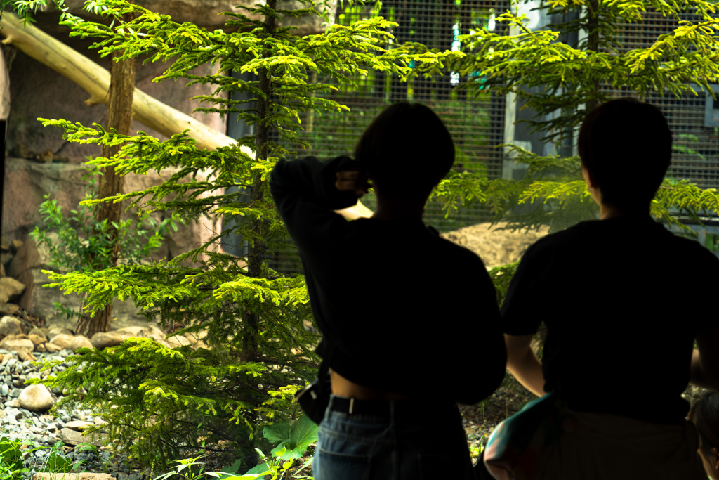 動物園０７０２ー２